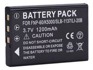 CASIO CNP-30 Battery